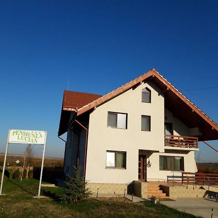 Pensiunea Lucian Baltati Exterior foto