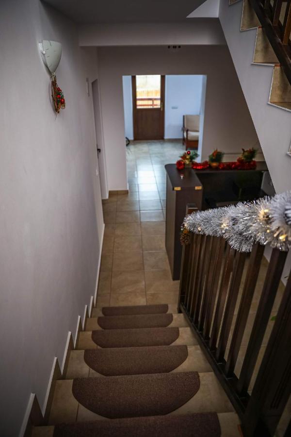 Pensiunea Lucian Baltati Exterior foto